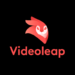 VideoLeap Mod APK